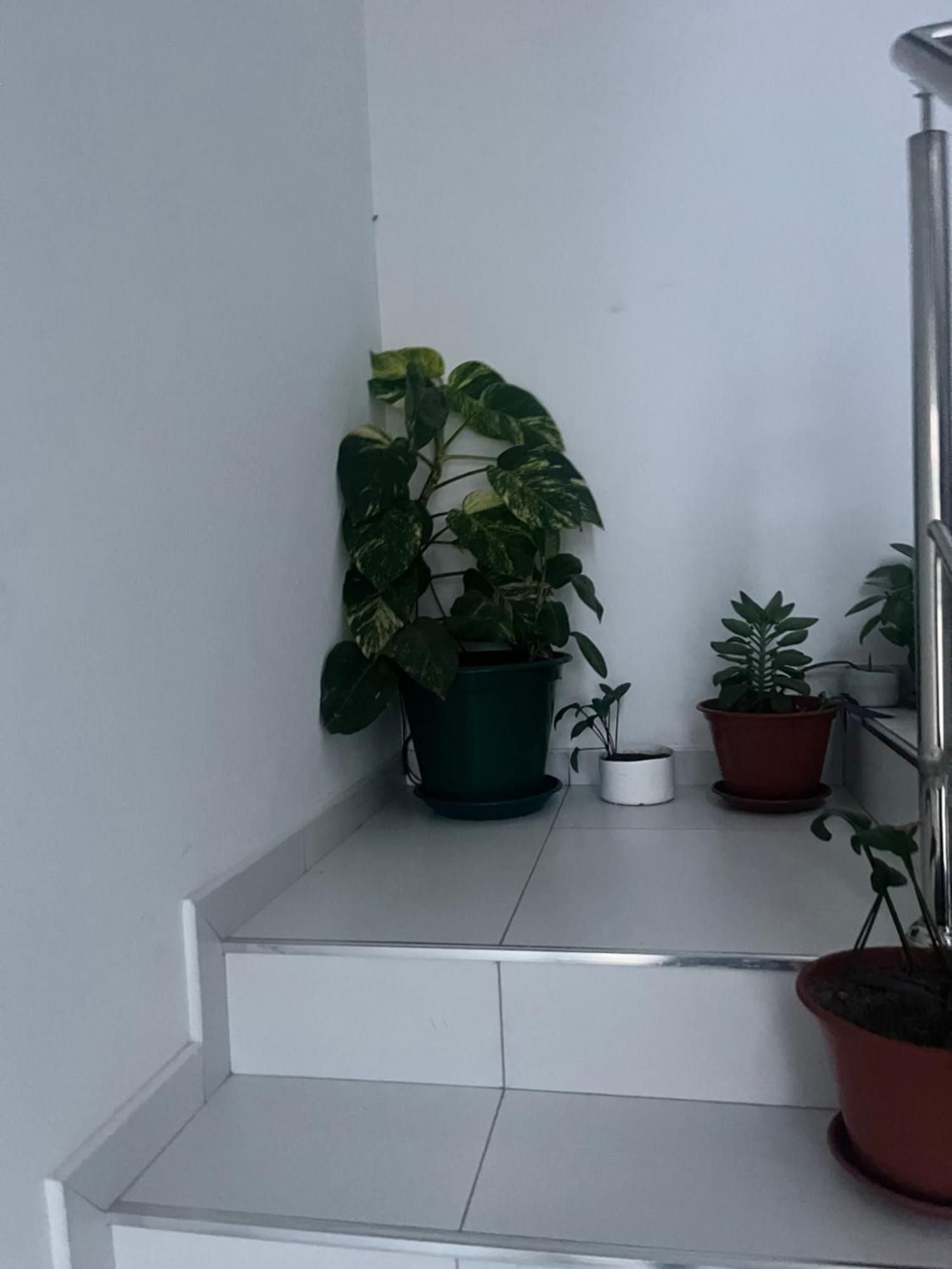 Oasis De Retour Apartment ปงตา ดู ซอล ภายนอก รูปภาพ